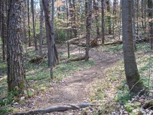 Preddy Creek Trail 