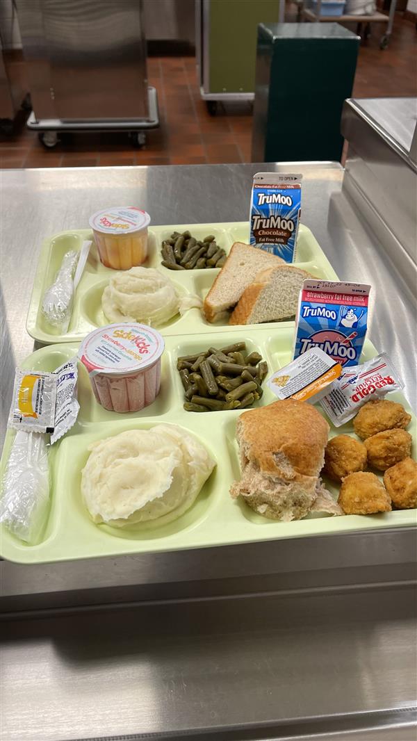 NGPS Lunch Trays
